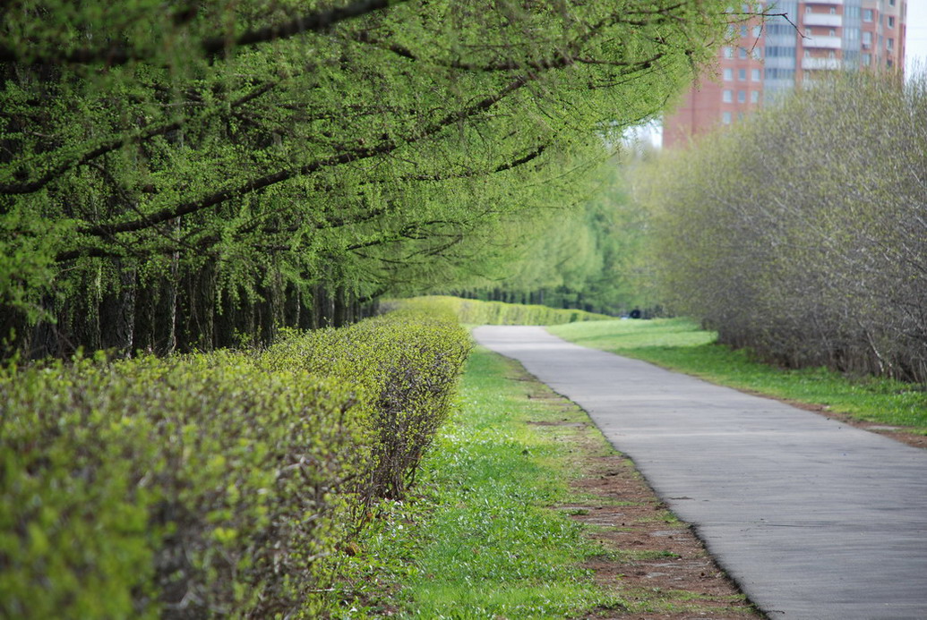 парк 50-летия Октября (г. Москва) 