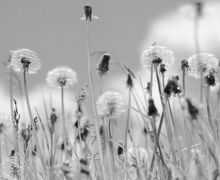 May impressions