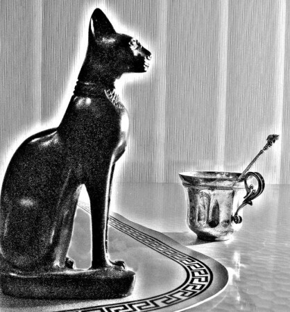 этюд с кошкой