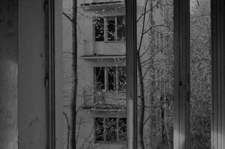 Выселенные