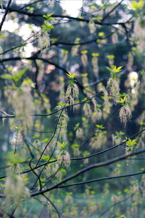 почти майский вечер