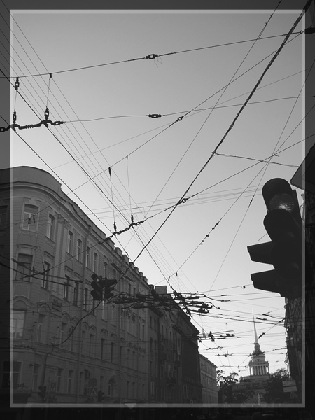 городская паутина