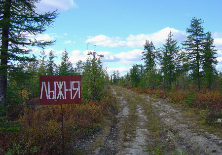 Лыжня