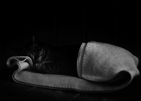 happy siesta