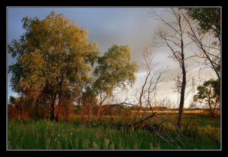 Война миров