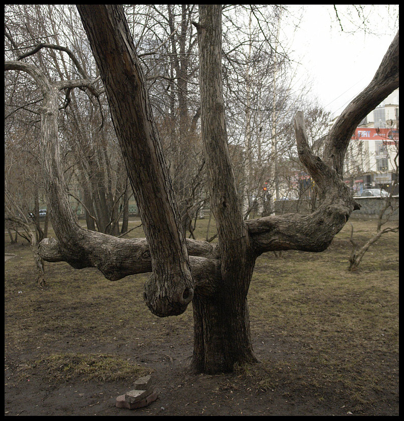 А Земля помнит.......