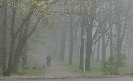 туманным утром...