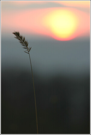 Under the Cold Sun