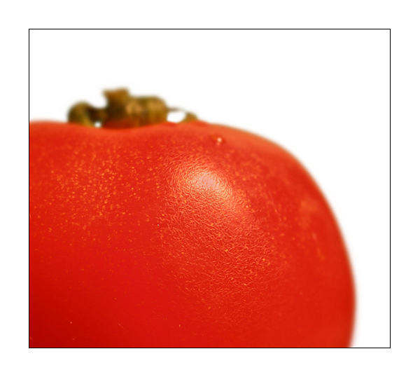Tomato