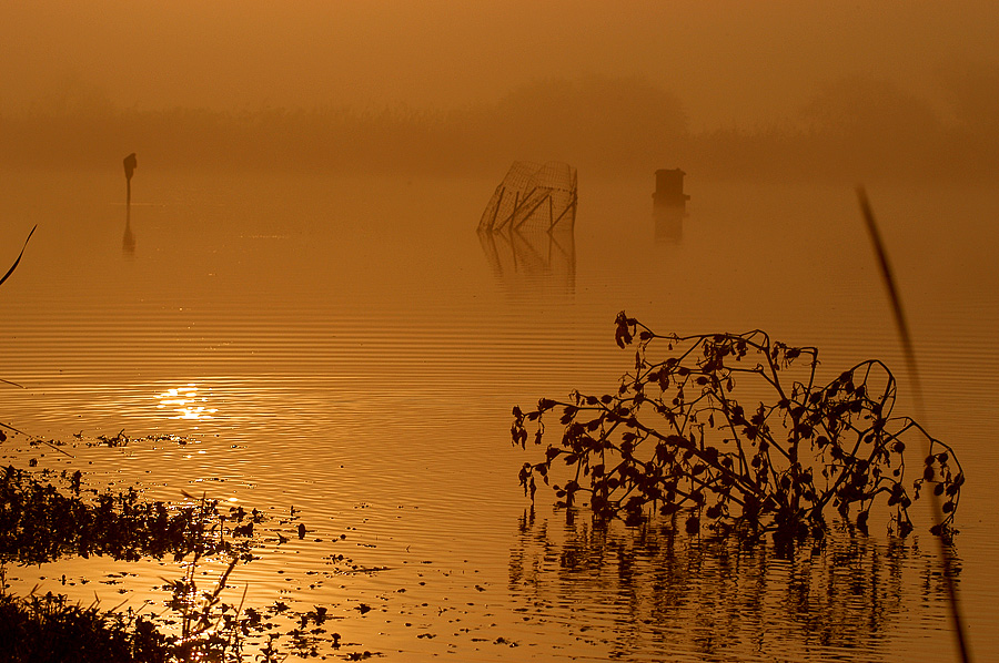 Silence.............