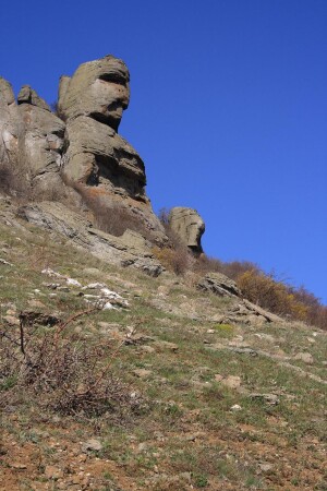 Голова "Екатерины"