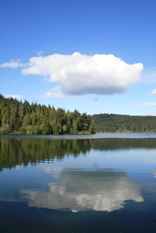 Reflection