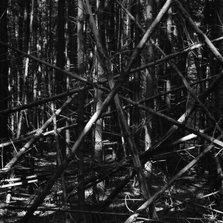 trapped