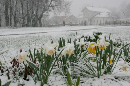 Суровая весна