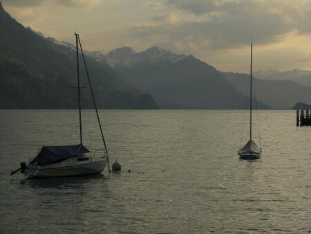 Тихая гавань