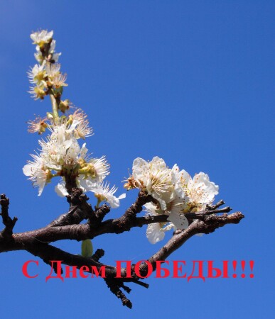 С ДНЕМ ПОБЕДЫ!!!