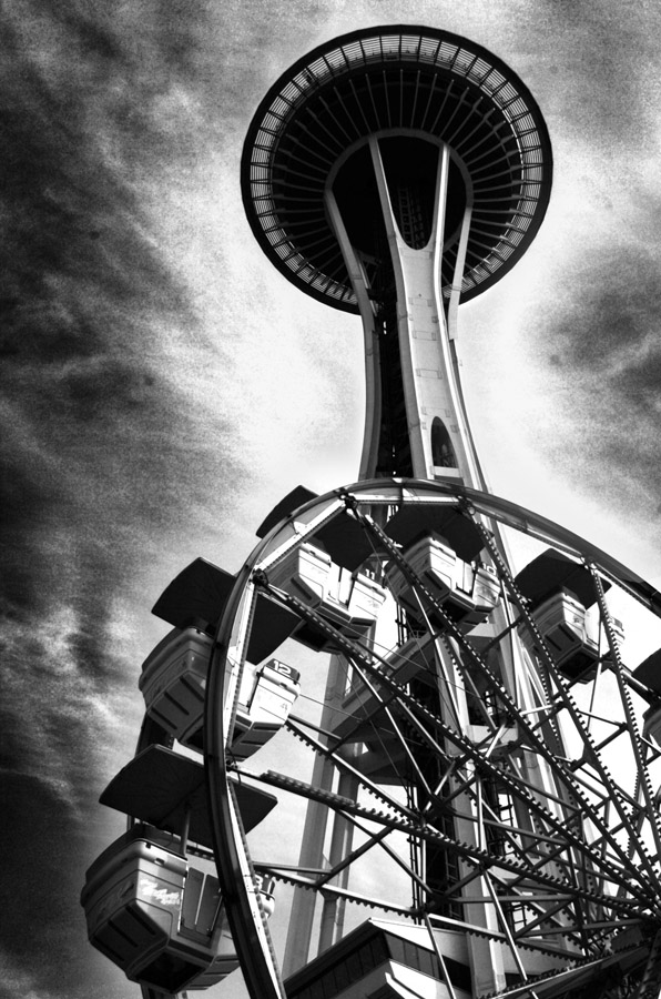 Seattle Space Nidle