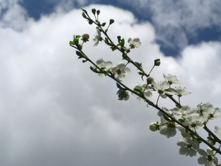 Красивее неба...