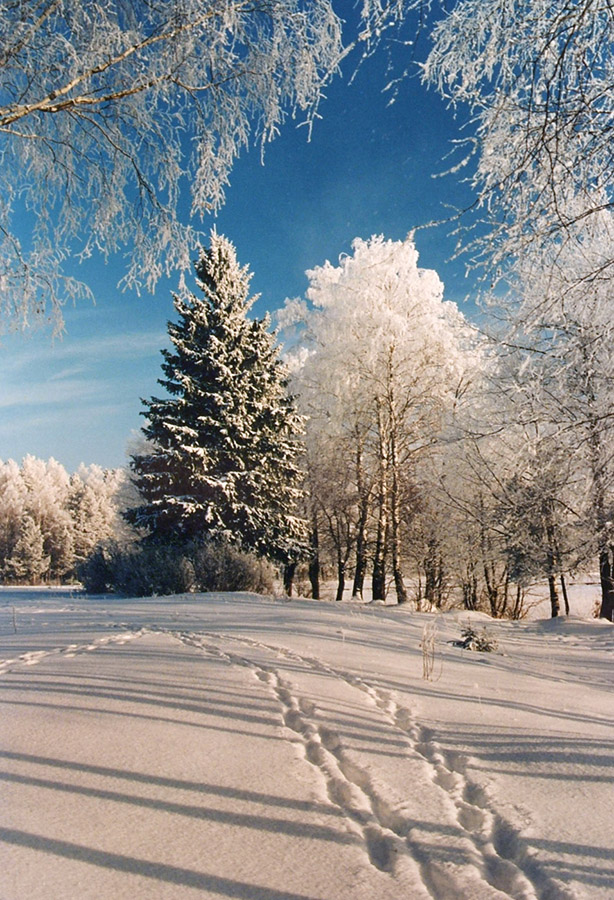  Минус 30