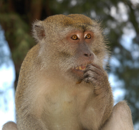 nu i chto ja nadelal?