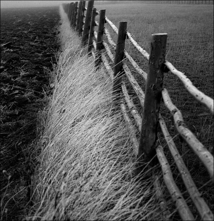 rimy fence