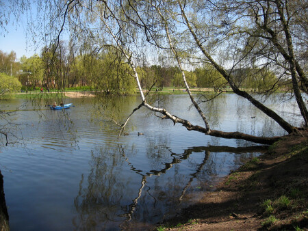 в парке