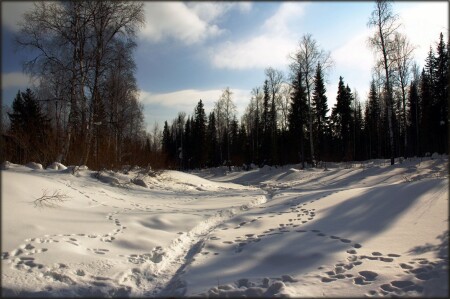 Следы и тени
