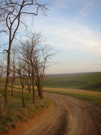 дорога