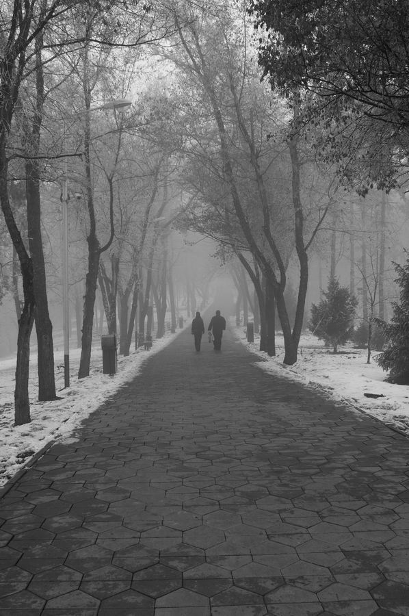 Дорога в неизвестность