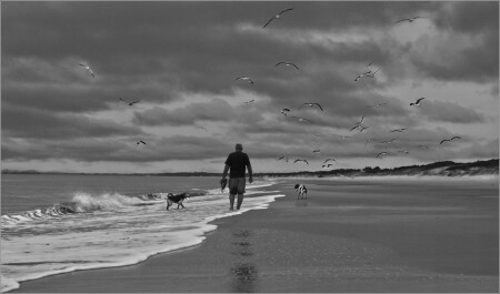 EL VIEJO Y EL MAR