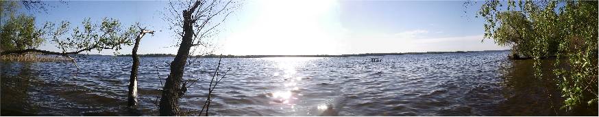 СОЛНЦЕВОРОТ