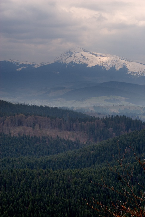 Говерла