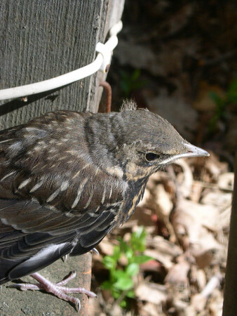 Готовимся к первому полету...