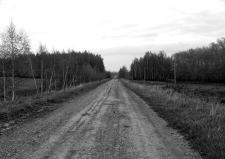 Дорога в будущее?