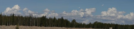 Взлет мечты