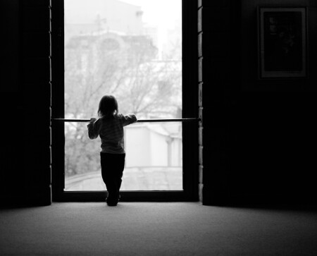 Синяя Птица