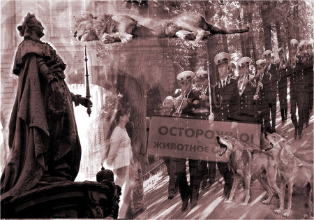 Cны одинокой женщины
