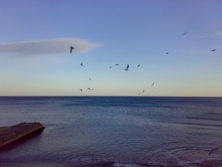 море 