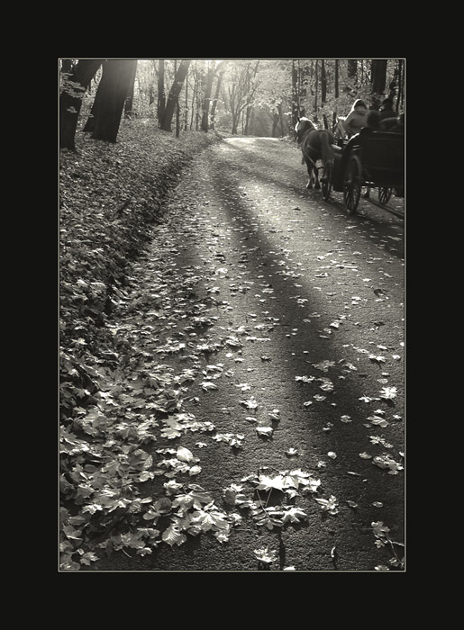 осень