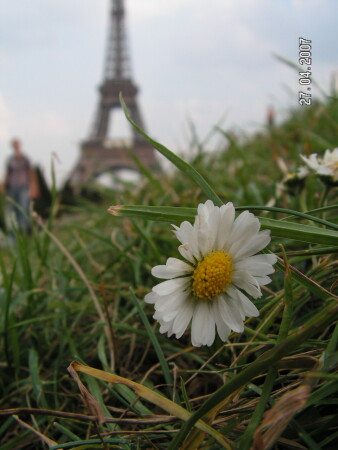 перепил и прилег отдохнуть