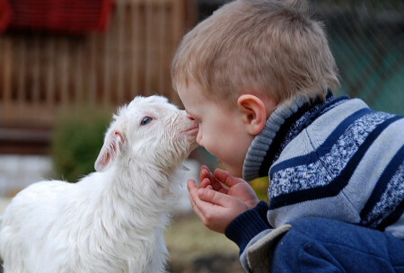 Первое знакомство