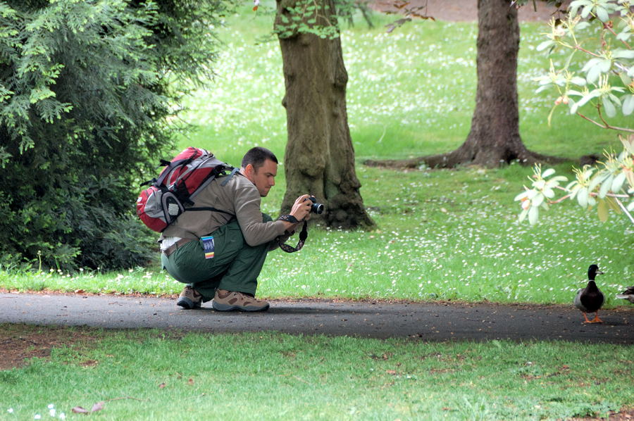 Photosession