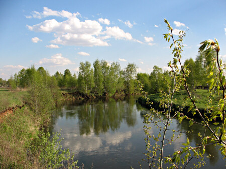 Весенний пейзаж