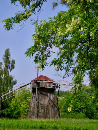 Старая мельница