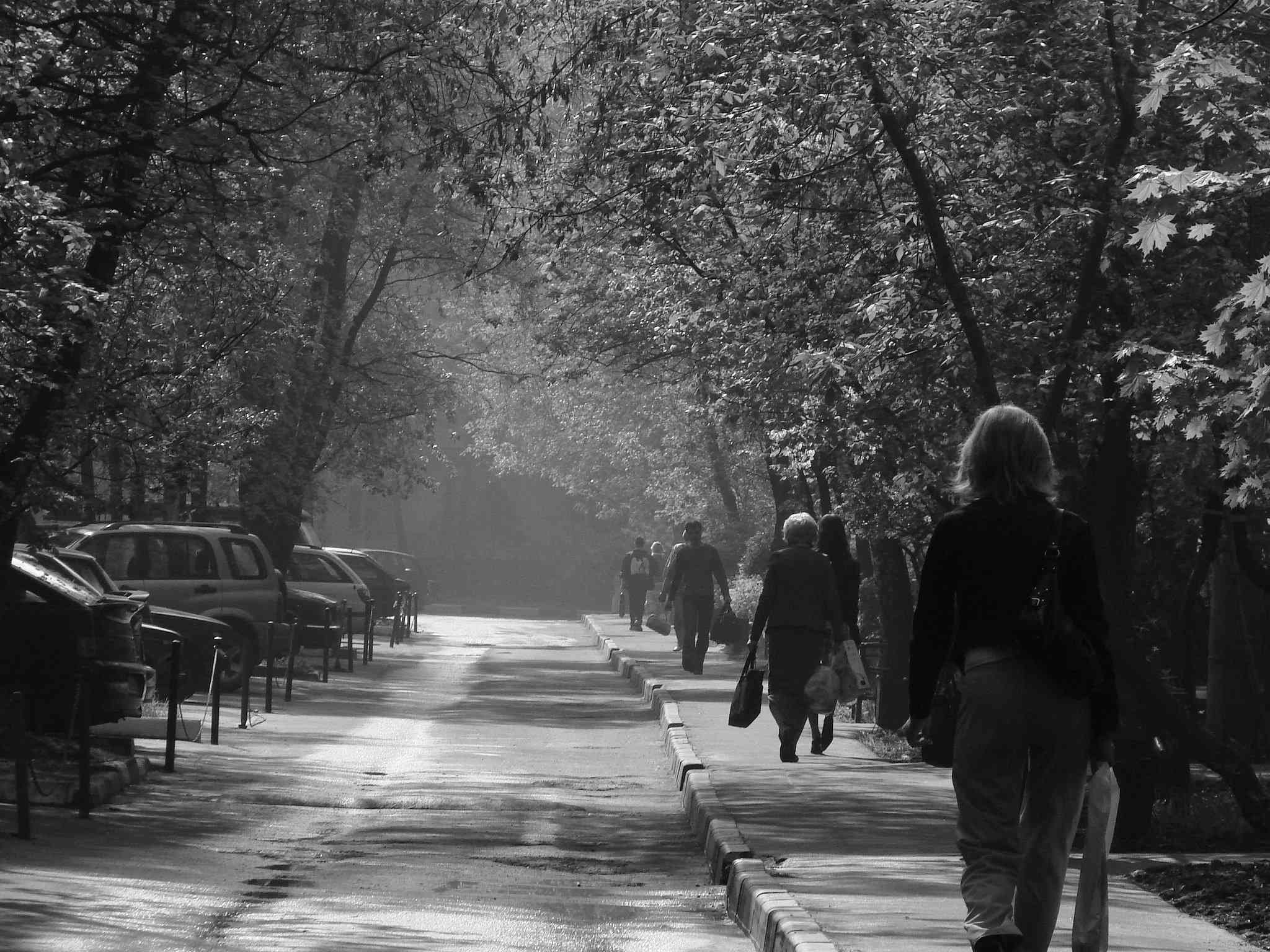 road to metro
