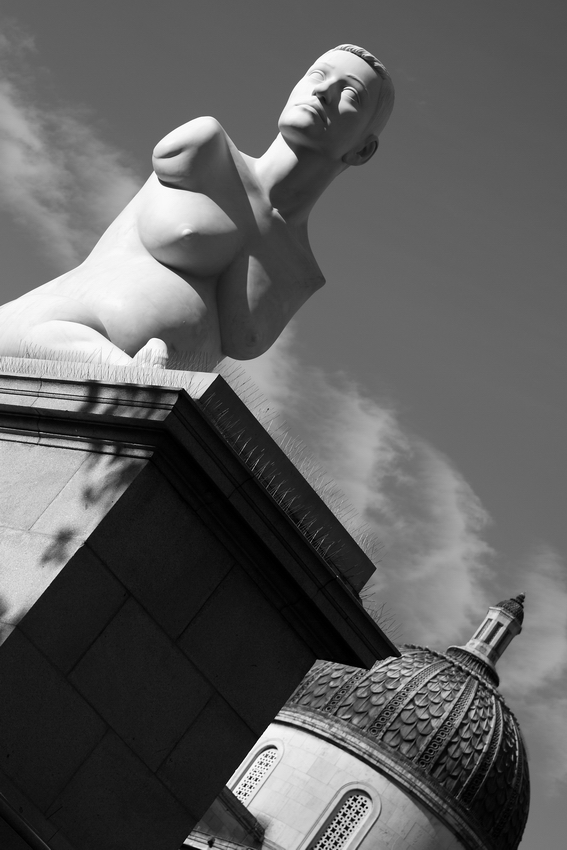 Turned to stone