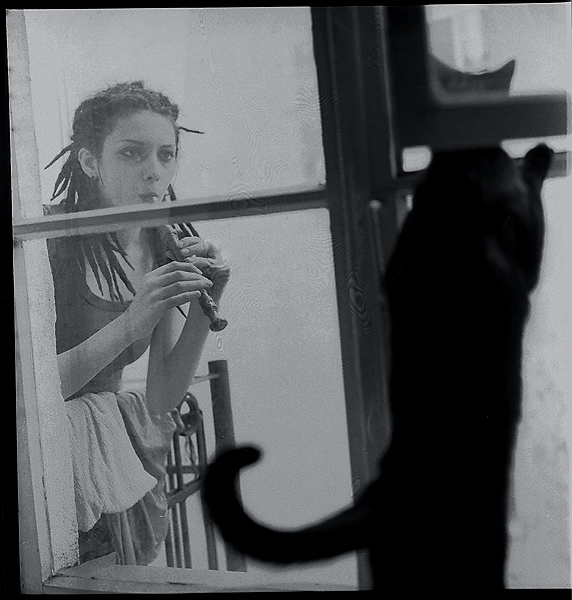 cats music