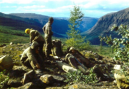 На границе леса.