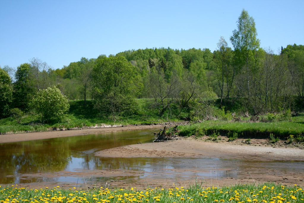 развилка