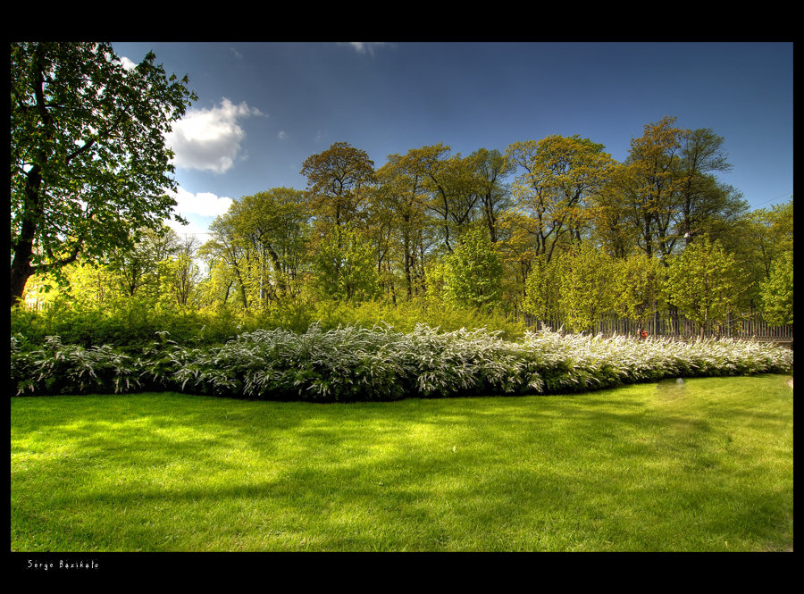 # Grass at the lock #